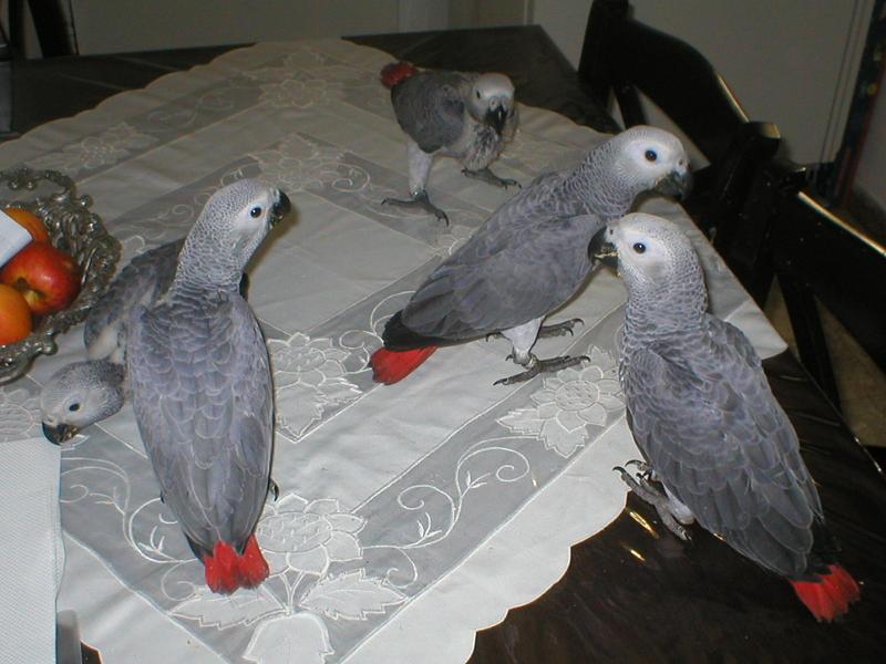 p1010028.JPG