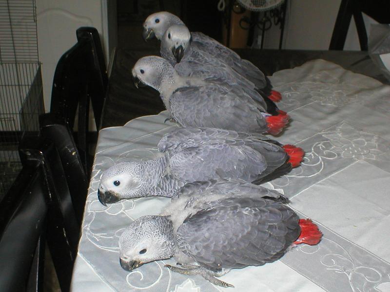 P1010029.JPG