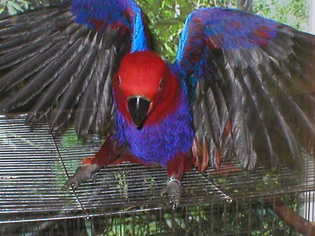 p1010017_128.jpg
