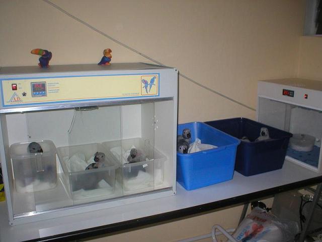 p1010027.JPG