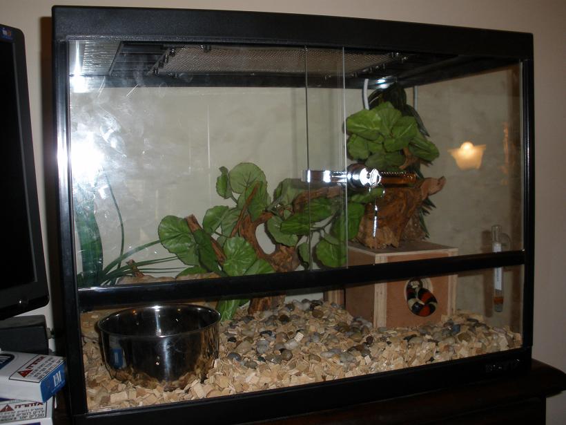 PC200627.JPG