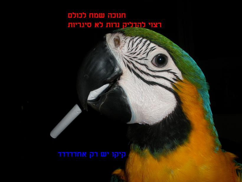 7.JPG