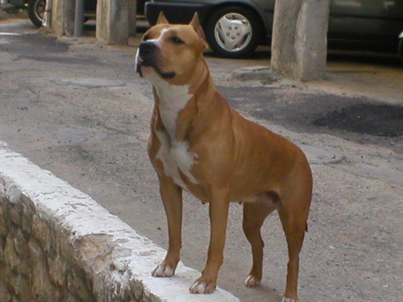 fea4837667.jpg
