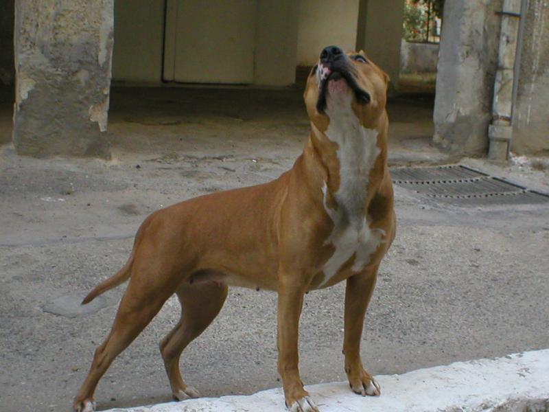 c40d8e55ff.jpg