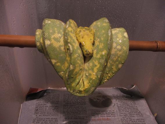 gtp.JPG