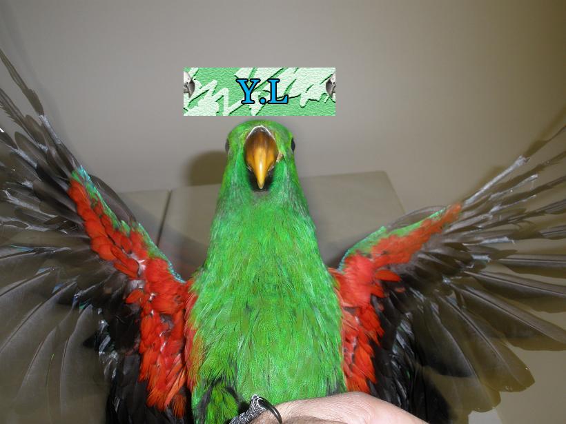 24.JPG