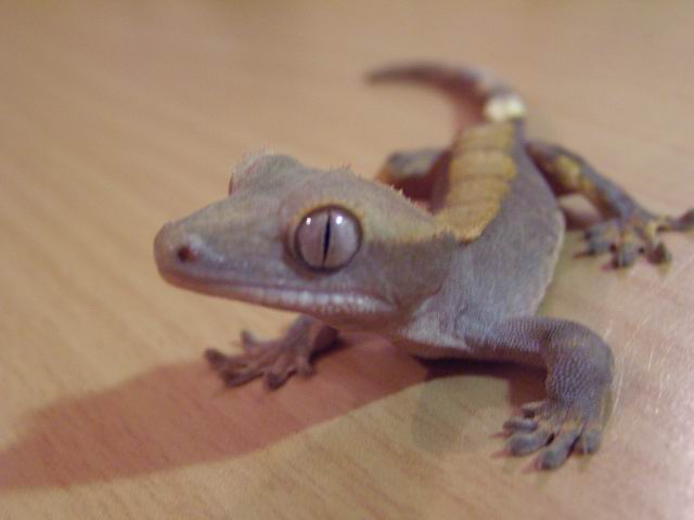 PB100208.JPG