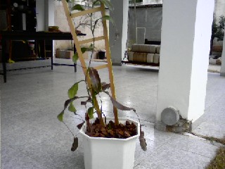 0131091601.jpg
