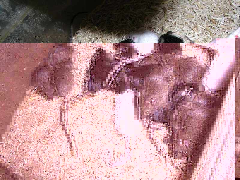 P1010224rrr.jpg