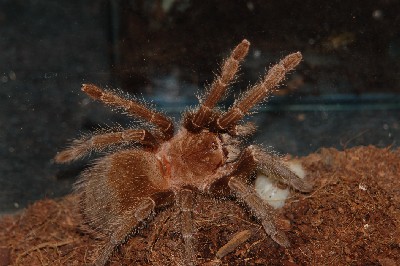 DSC_1027.JPG