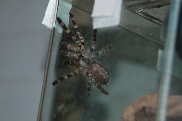 DSC_1034.JPG