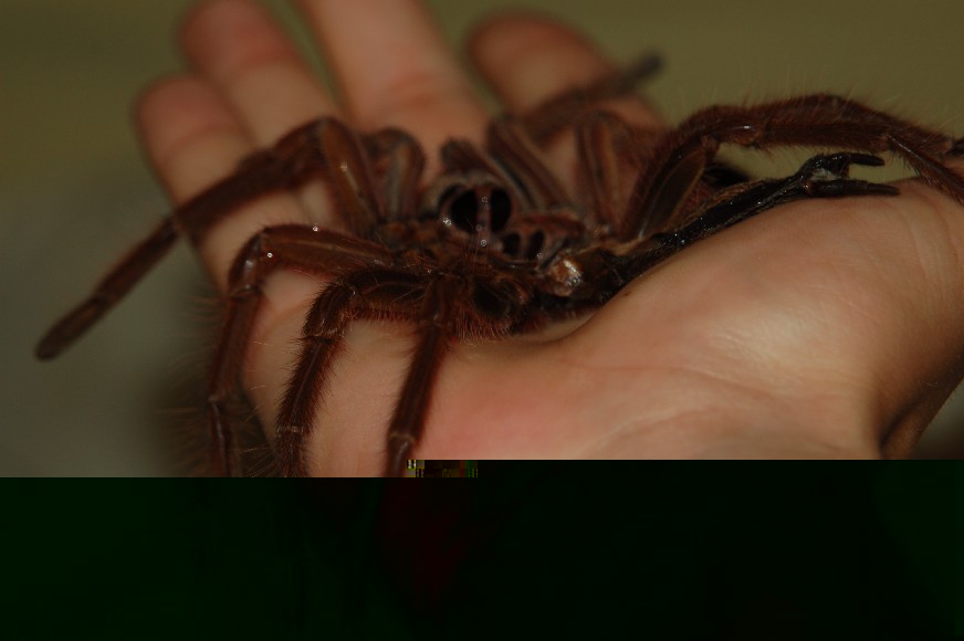 DSC_1077.JPG