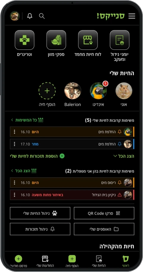 תיאור Alt חסר