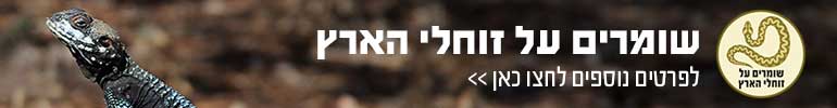 שומרים על זוחלים הארץ