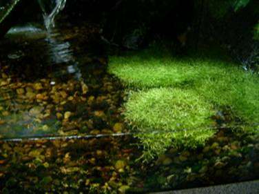 image020