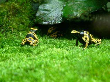 image022