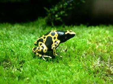 image023