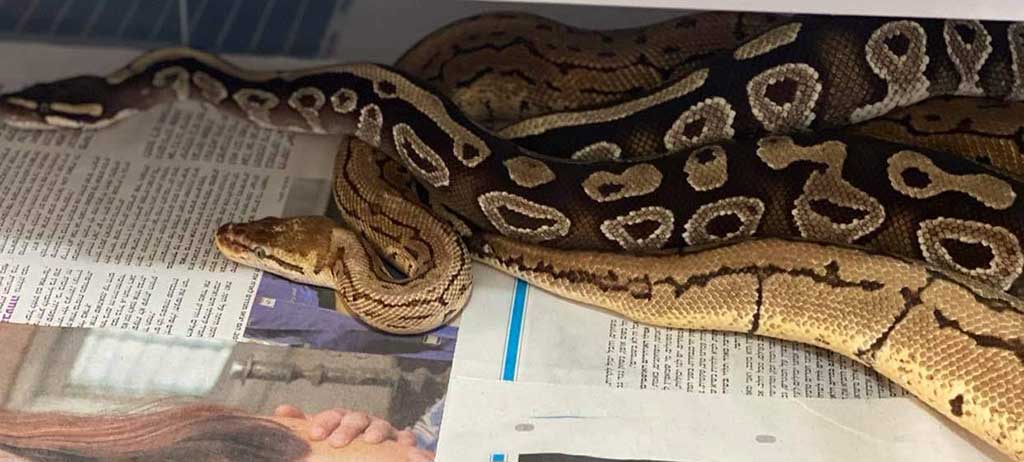 PHOTO 2020 12 27 18 31 39