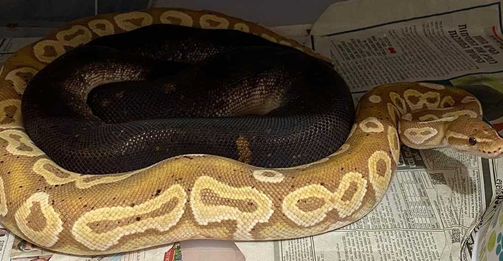 PHOTO 2020 12 27 18 31 40