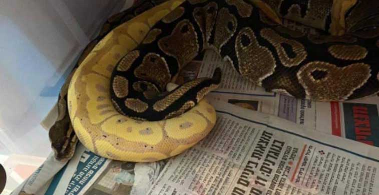 PHOTO 2020 12 27 18 31 41