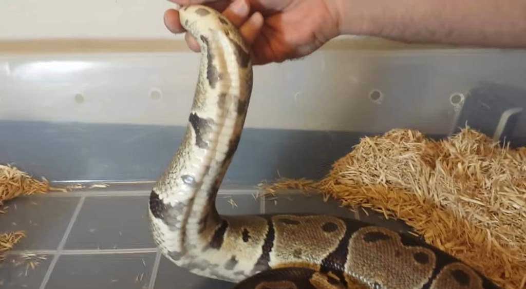 PHOTO 2020 12 27 18 31 42 1
