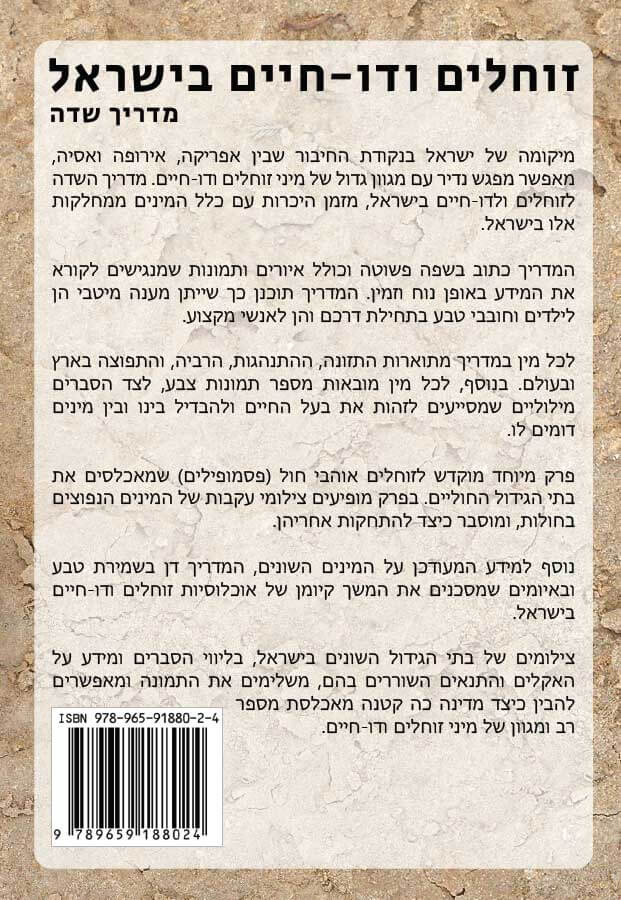 page example 1