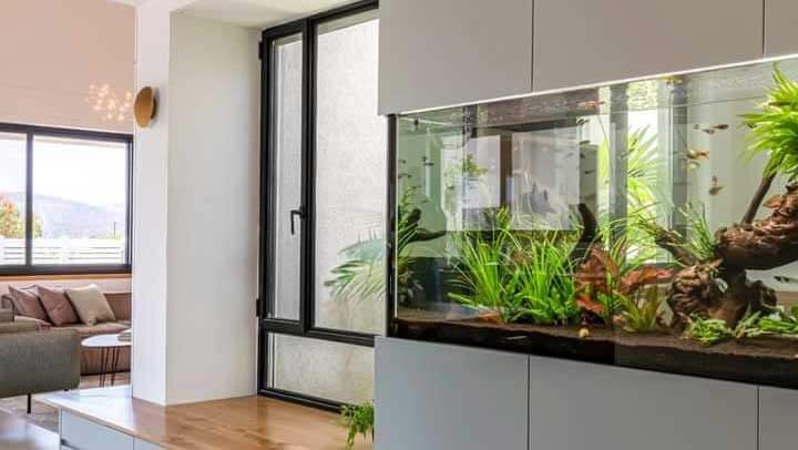 AQUARIUM
