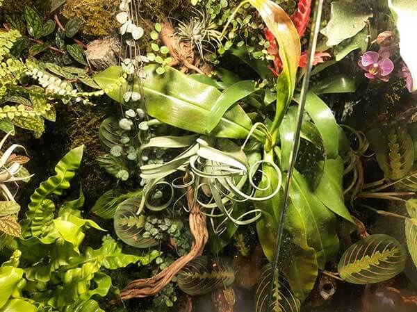 VIVARIUM