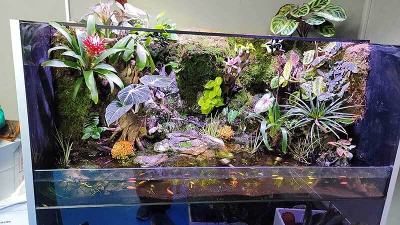 paludarium