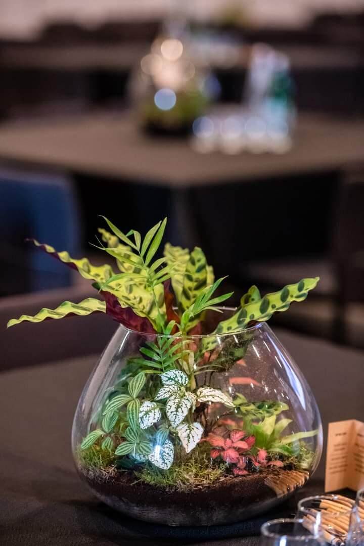 terrarium small