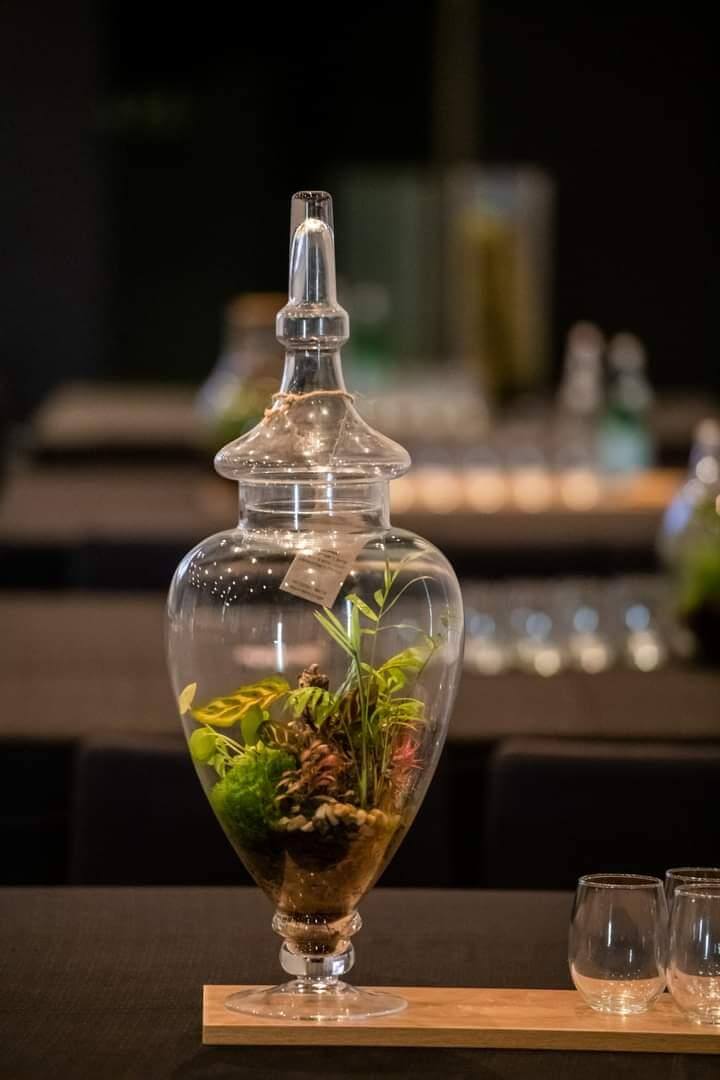 terrarium small2