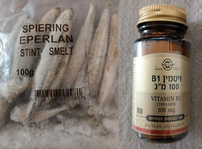 דגי סמלט וויטמין B1