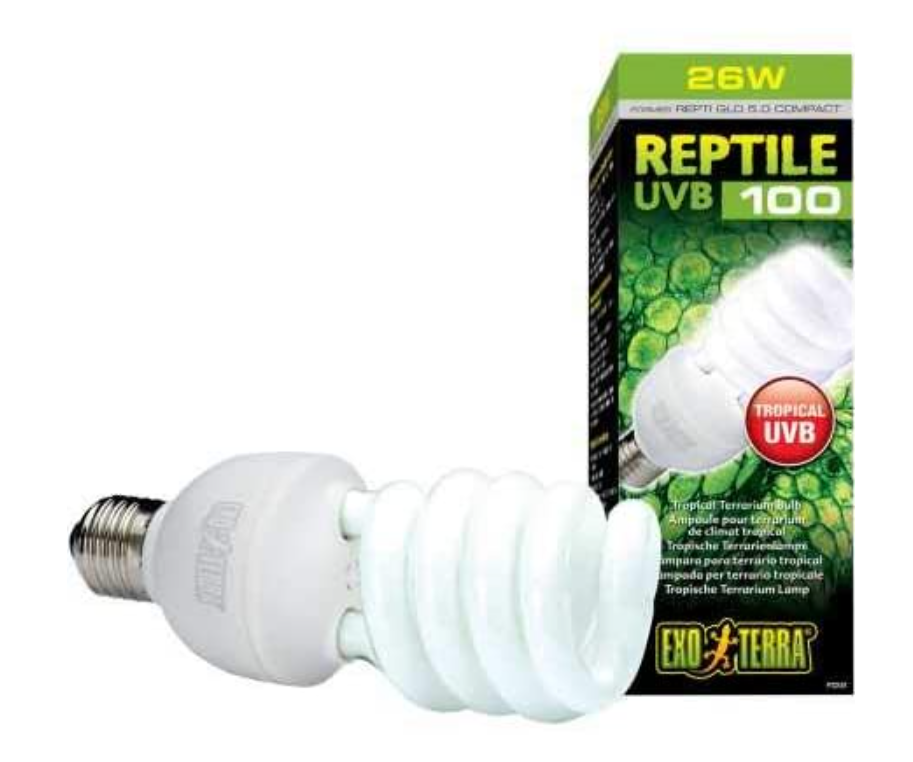Exo Terra Repti Glo 5.0 Compact