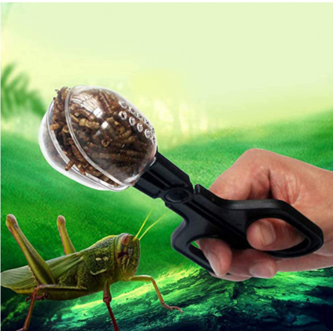 Reptiles Feeding Tongs and Cleaning Tool