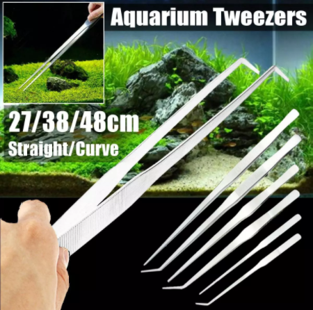 Straight Curved Tweezer Scissor Algae Scraper