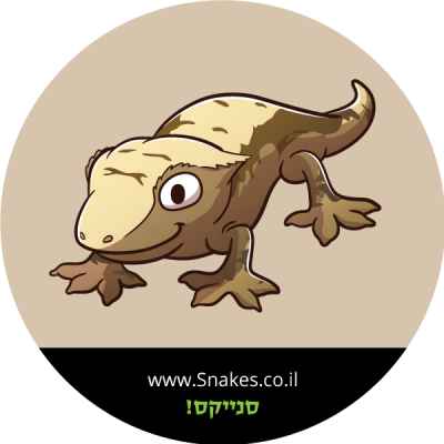 קרסטד