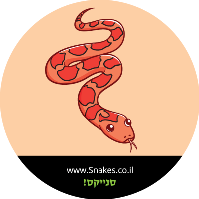 כרכן תירס