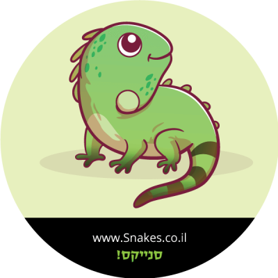 איגואנה