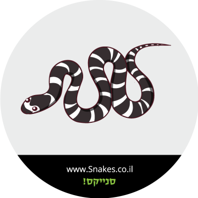 קינג סנייק