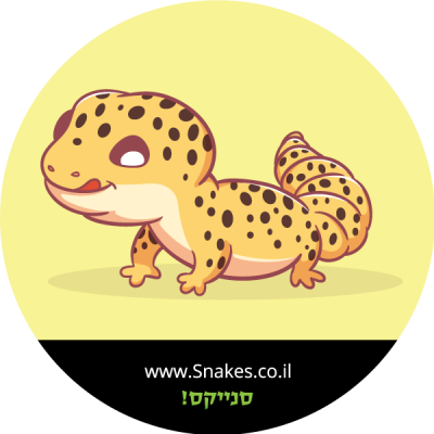 שממית מנומרת