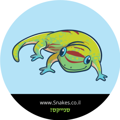 פלסומה