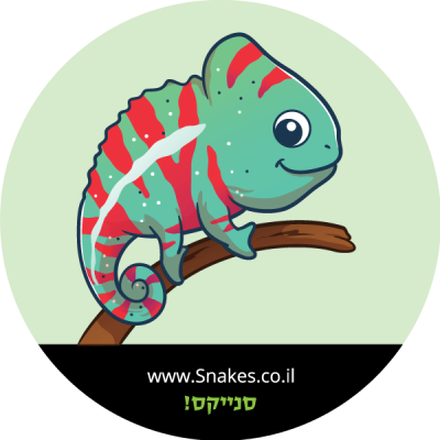 זיקית פנתר