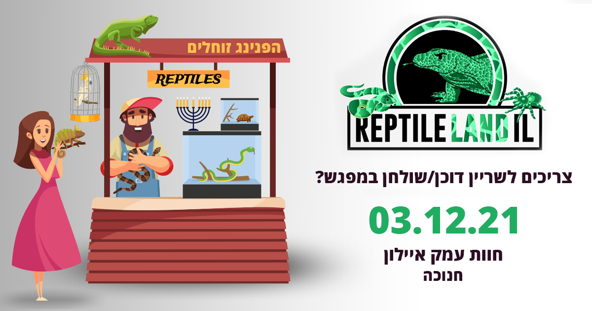רפי מפגש2