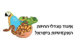 איגוד האינטרנט הישראלי