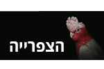 הצפריה